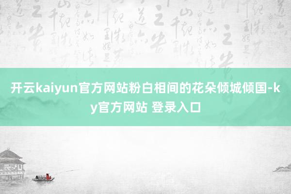 开云kaiyun官方网站粉白相间的花朵倾城倾国-ky官方网站 登录入口