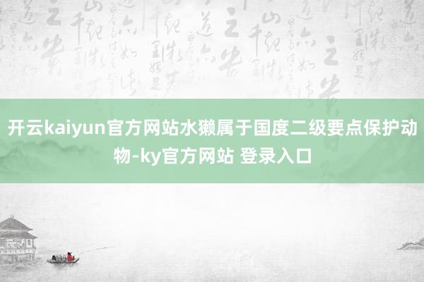 开云kaiyun官方网站水獭属于国度二级要点保护动物-ky官方网站 登录入口