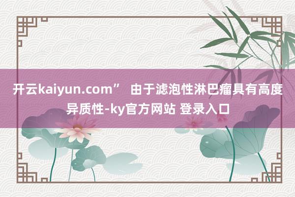 开云kaiyun.com”  由于滤泡性淋巴瘤具有高度异质性-ky官方网站 登录入口