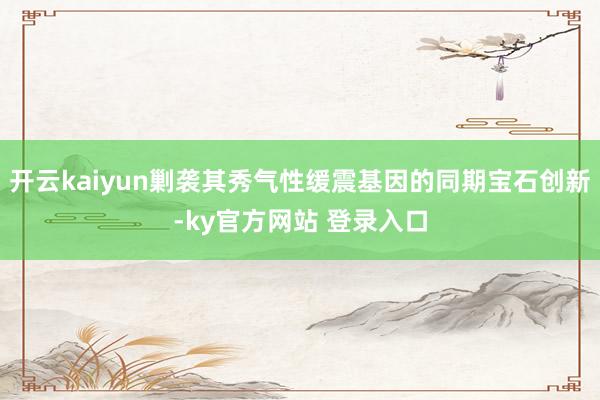 开云kaiyun剿袭其秀气性缓震基因的同期宝石创新-ky官方网站 登录入口