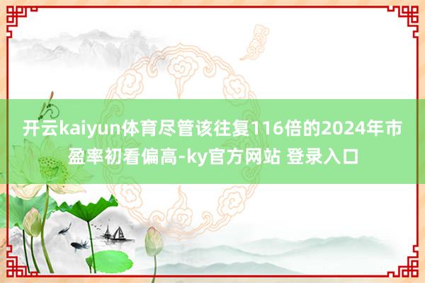 开云kaiyun体育尽管该往复116倍的2024年市盈率初看偏高-ky官方网站 登录入口
