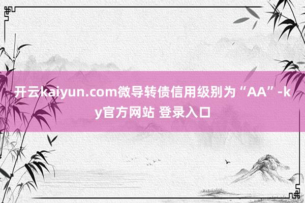 开云kaiyun.com微导转债信用级别为“AA”-ky官方网站 登录入口