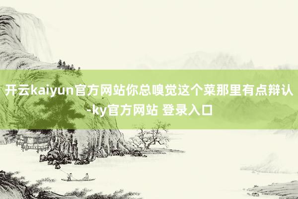 开云kaiyun官方网站你总嗅觉这个菜那里有点辩认-ky官方网站 登录入口