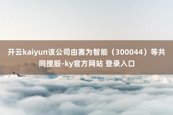 开云kaiyun该公司由赛为智能（300044）等共同捏股-ky官方网站 登录入口