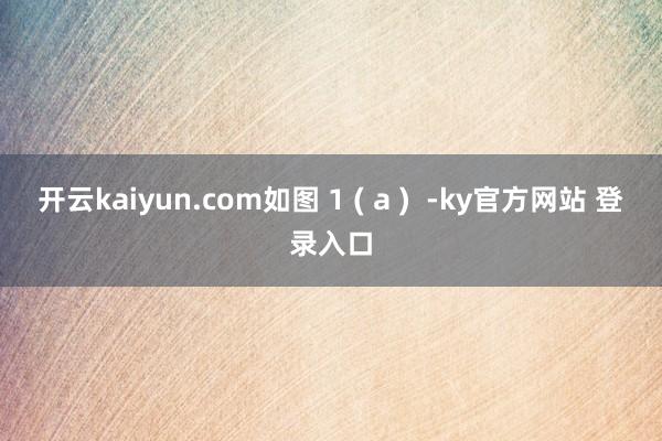 开云kaiyun.com如图 1 ( a )  -ky官方网站 登录入口