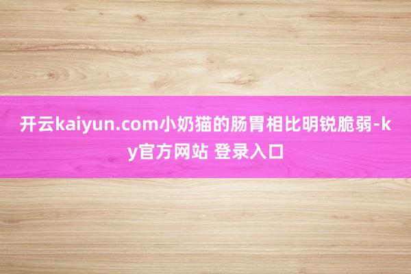开云kaiyun.com小奶猫的肠胃相比明锐脆弱-ky官方网站 登录入口