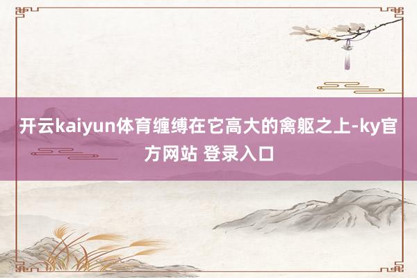 开云kaiyun体育缠缚在它高大的禽躯之上-ky官方网站 登录入口