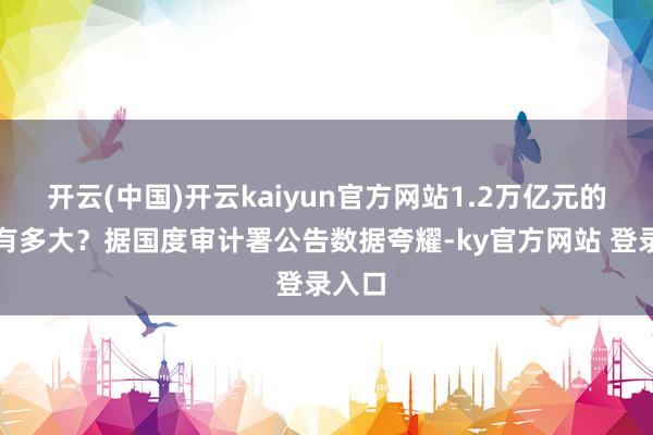 开云(中国)开云kaiyun官方网站1.2万亿元的投资有多大？据国度审计署公告数据夸耀-ky官方网站 登录入口