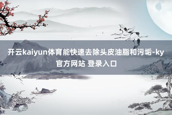 开云kaiyun体育能快速去除头皮油脂和污垢-ky官方网站 登录入口